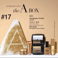 #17_C25-2017_A-Box